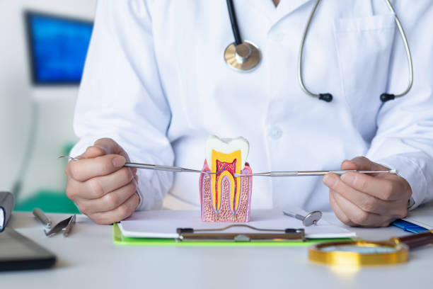 Dentist for Dental Trauma in DE